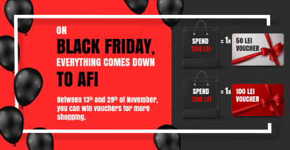 ON BLACK FRIDAY, EVERYTHING IS REDUCED AT AFI